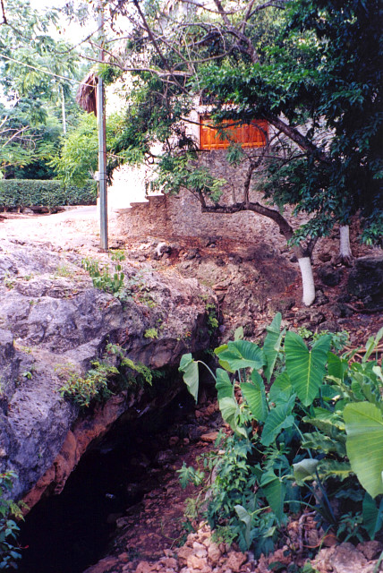 Cenote of the Talking cross